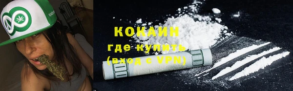 ПСИЛОЦИБИНОВЫЕ ГРИБЫ Лиски