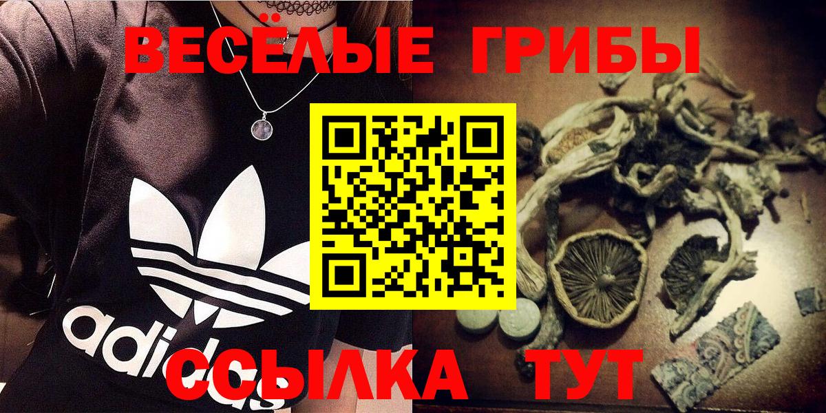 Галлюциногенные грибы мицелий Бердск