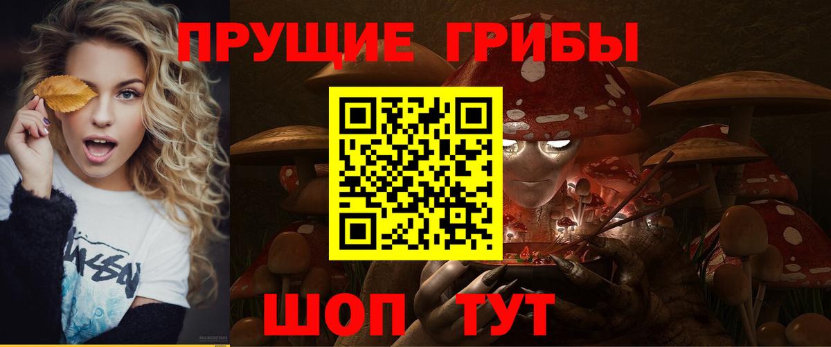 Галлюциногенные грибы GOLDEN TEACHER  Бердск  Галлюциногенные грибы GOLDEN TEACHER 