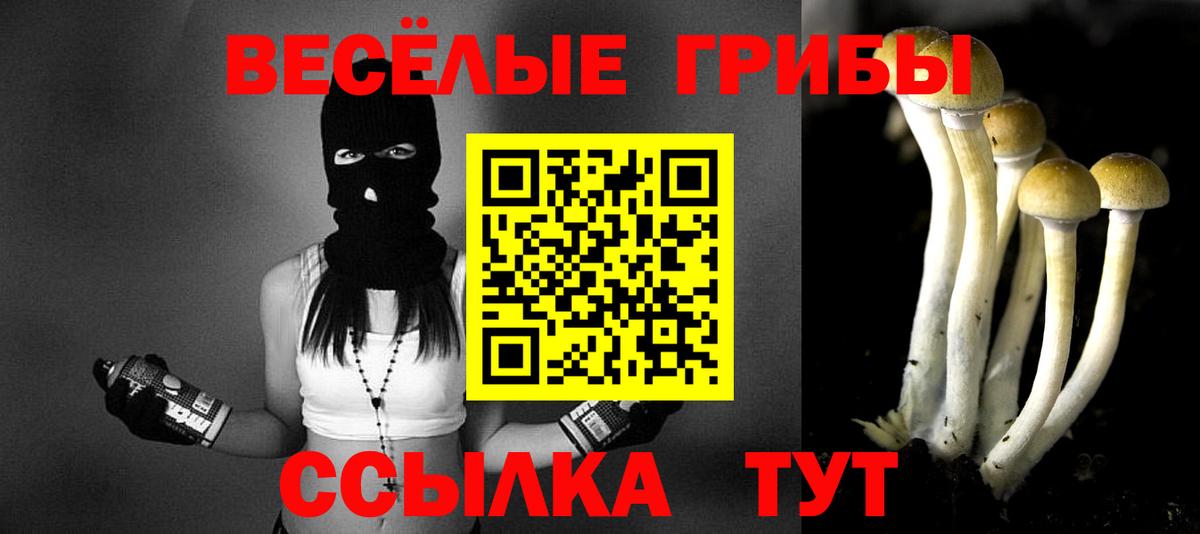 Бердск  купить закладку  Вход с VPN  Галлюциногенные грибы MAGIC MUSHROOMS 